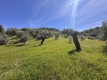 AWVADP937_35417_V0_77AD.jpg